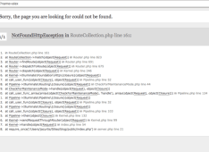 How To Display Code Errors